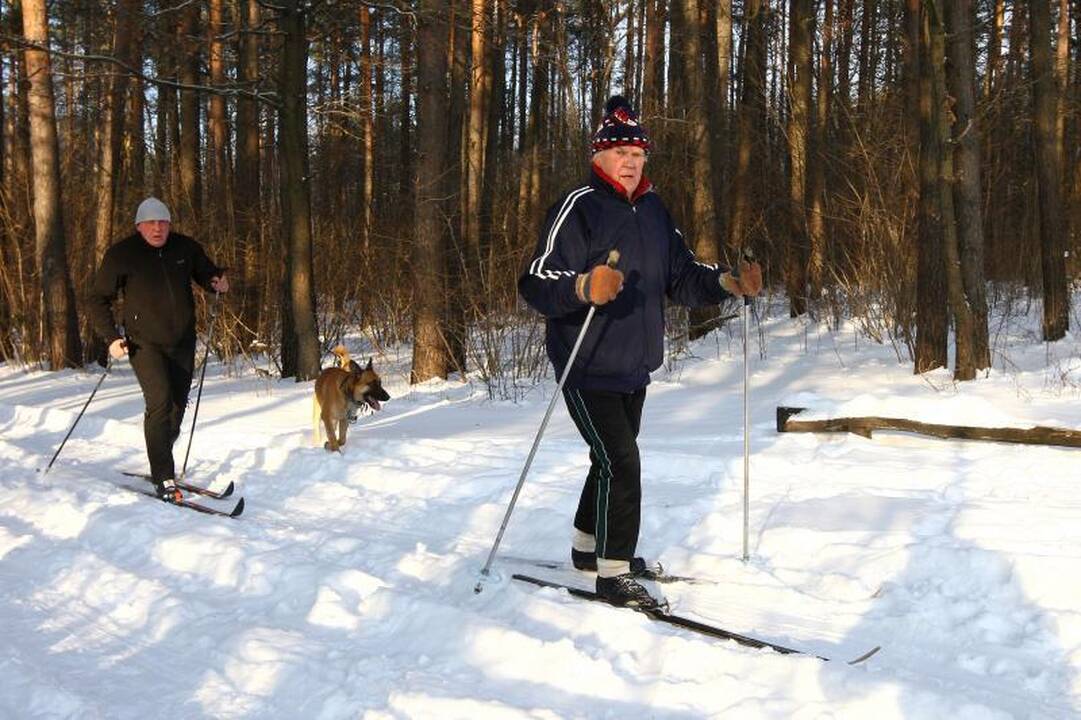 Kleboniškio   miške  pažiro  slidininkai