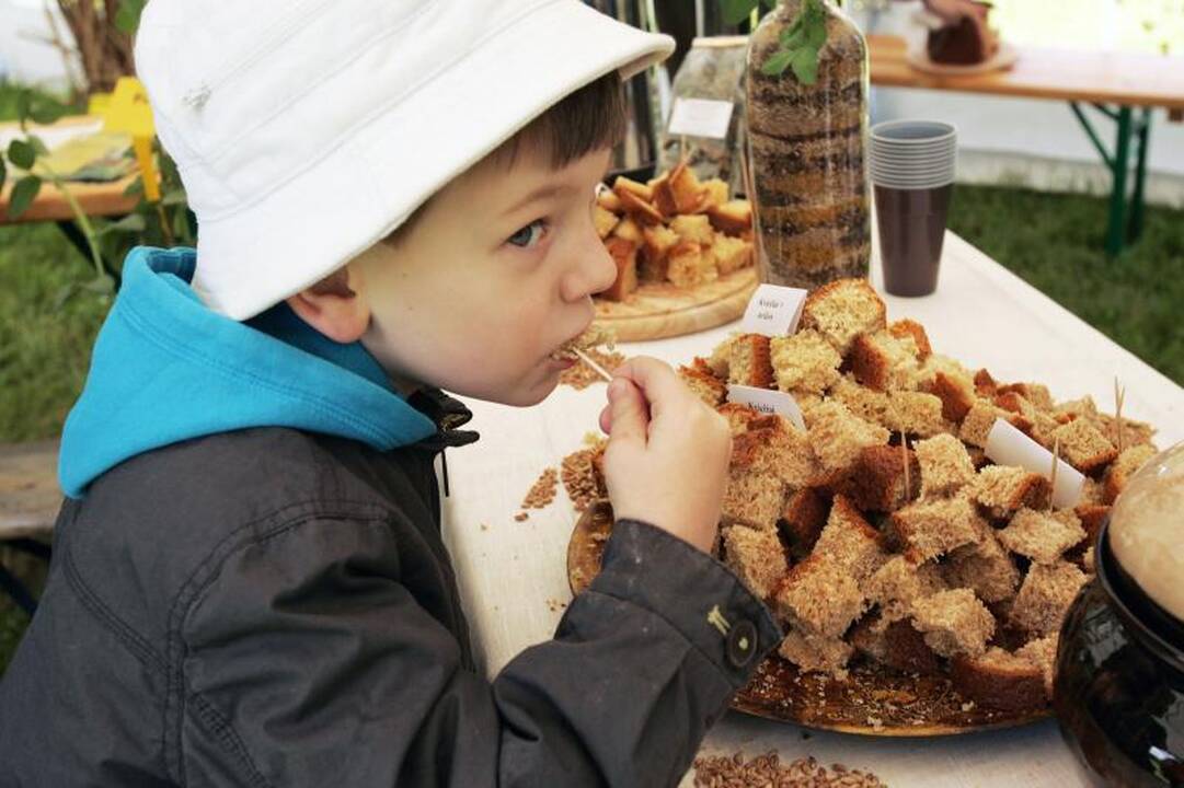 Botanikos sode – Augalų žavadienio šventė