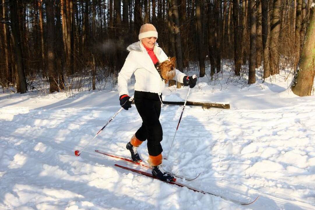 Kleboniškio   miške  pažiro  slidininkai