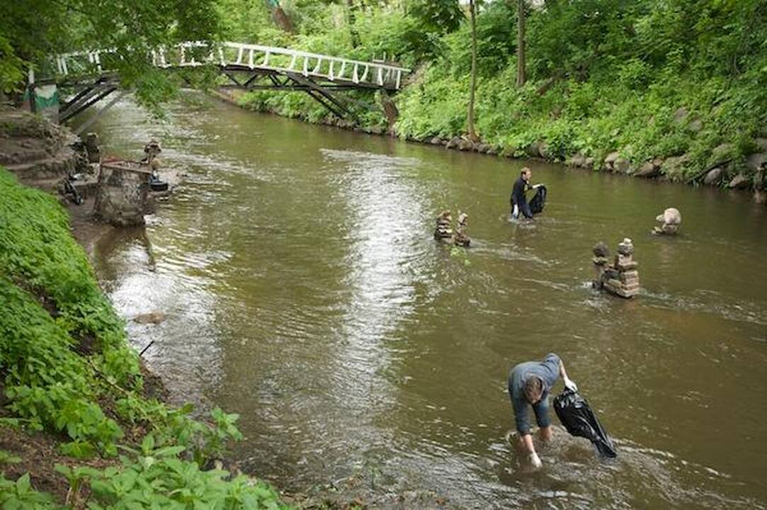 Vilnelės valyti netingėjo