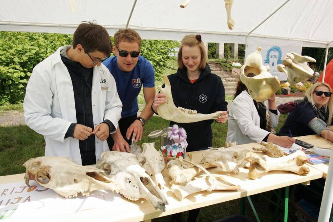 Botanikos sode – Augalų žavadienio šventė