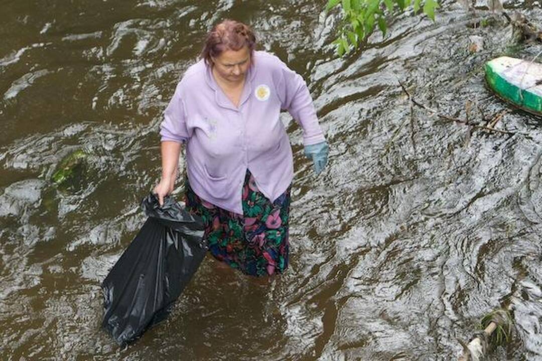 Vilnelės valyti netingėjo