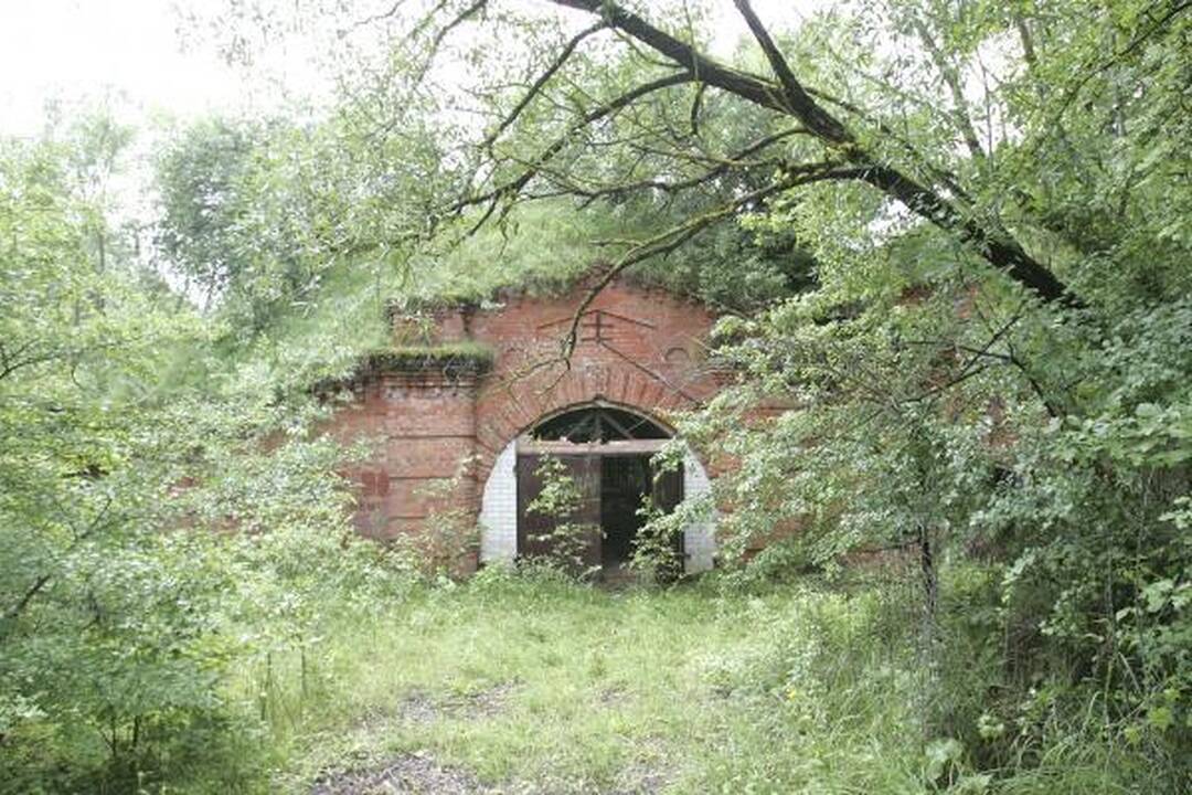 Valdžia šneka, fortai griūva