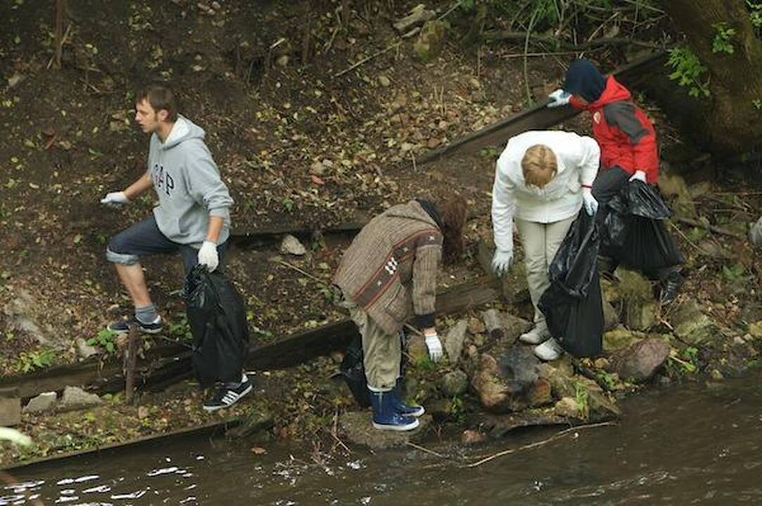 Vilnelės valyti netingėjo