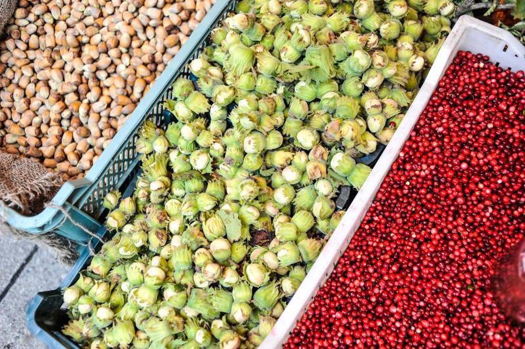 Rudens mugėje – dobilų alus, daržovių kilimai ir šakočio dalybos