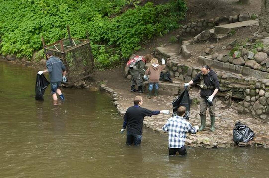 Vilnelės valyti netingėjo