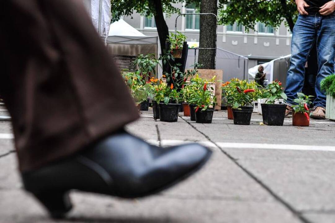 Rudens mugėje – dobilų alus, daržovių kilimai ir šakočio dalybos