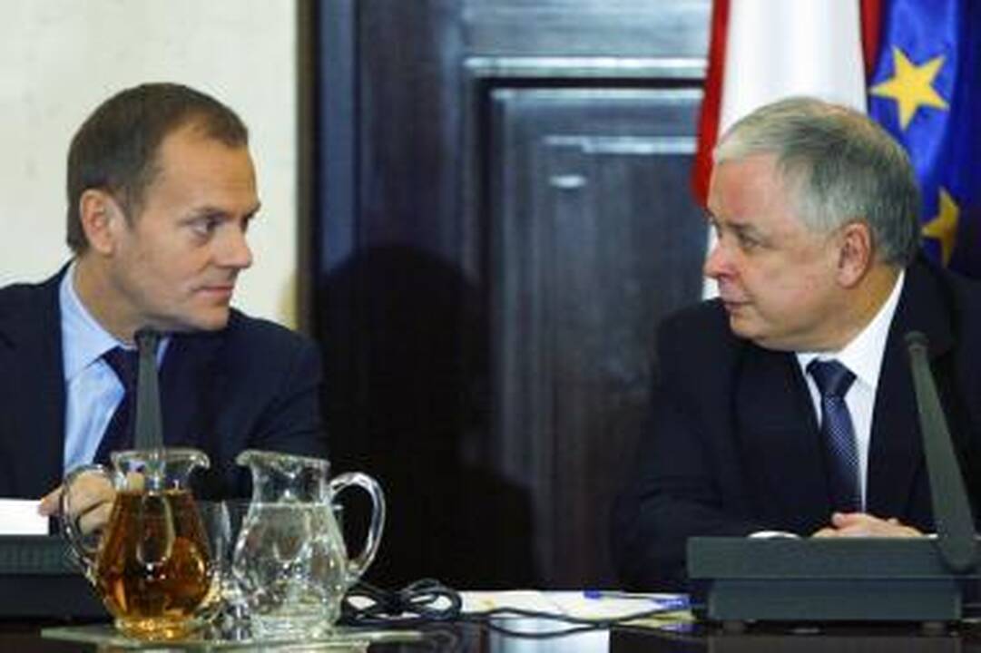 Briedį partrenkęs vairuotojas: galvojau, kad žmogus