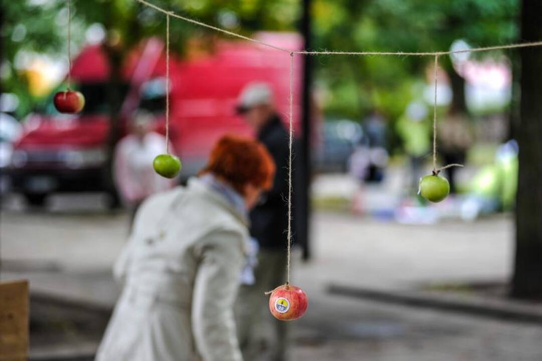 Rudens mugėje – dobilų alus, daržovių kilimai ir šakočio dalybos