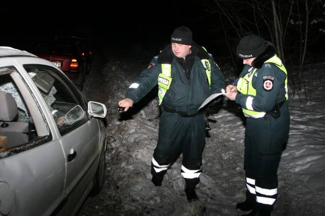 Briedį partrenkęs vairuotojas: galvojau, kad žmogus