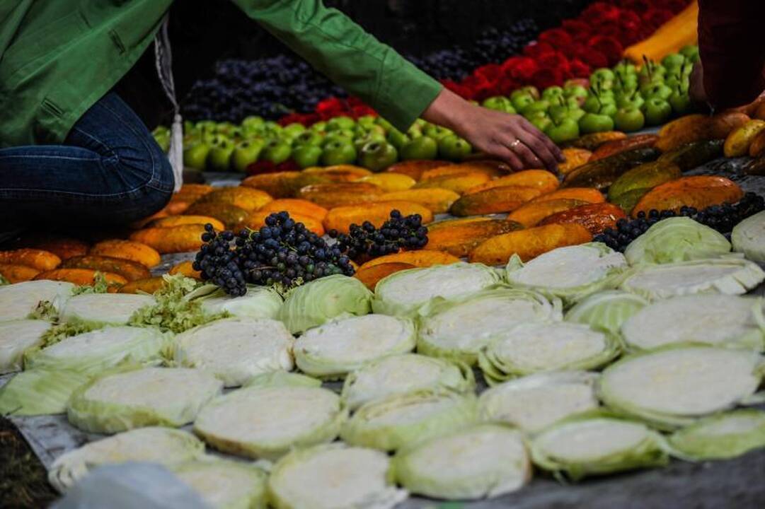 Rudens mugėje – dobilų alus, daržovių kilimai ir šakočio dalybos
