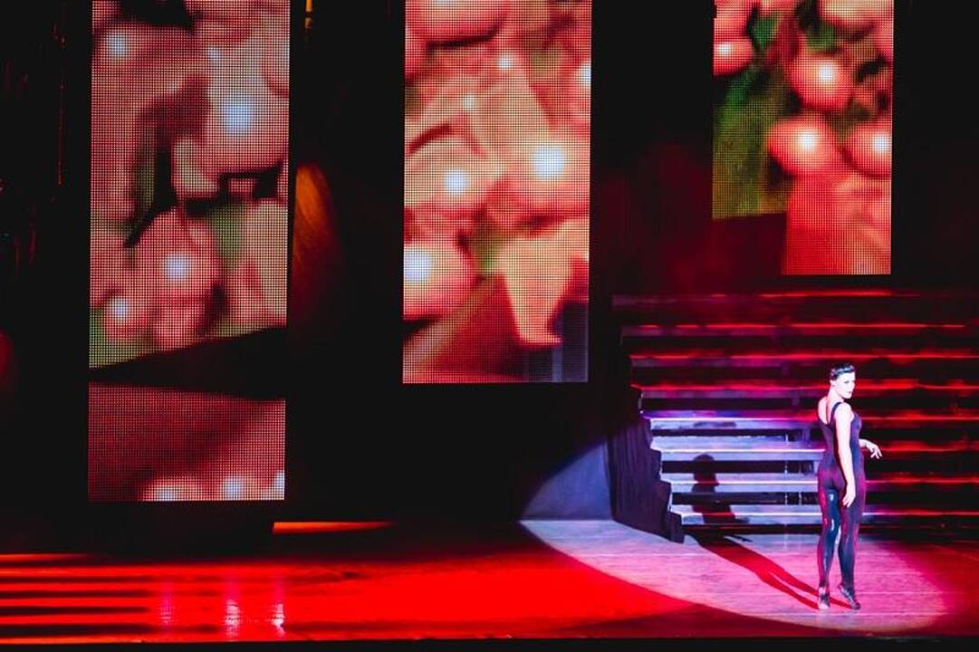 Kauniečių kraują kaitino „Lord Of The Dance“ šokėjai