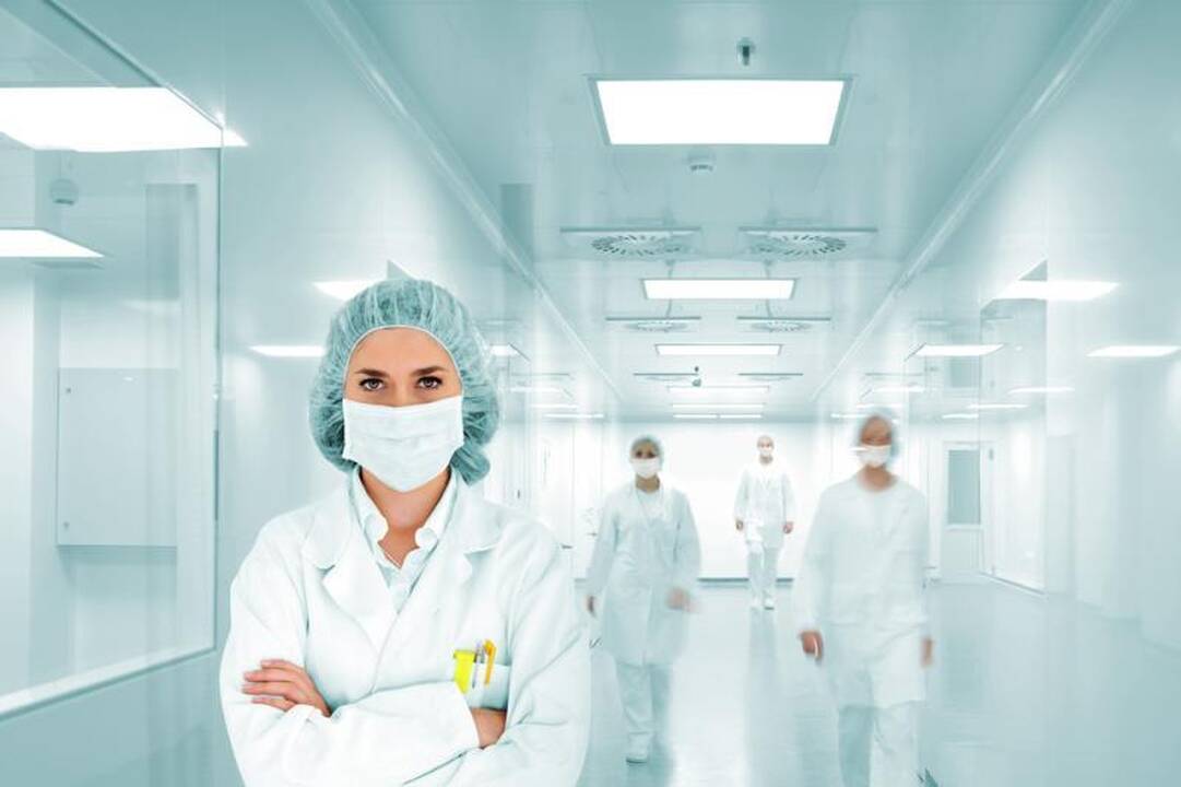 Specialistai įspėja: Vilniuje plinta geltos virusas