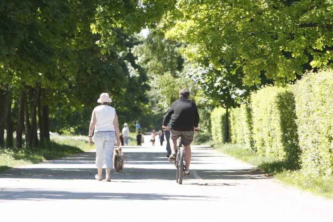 Uostamiesčio pėstieji – prieš įžūlius dviratininkus