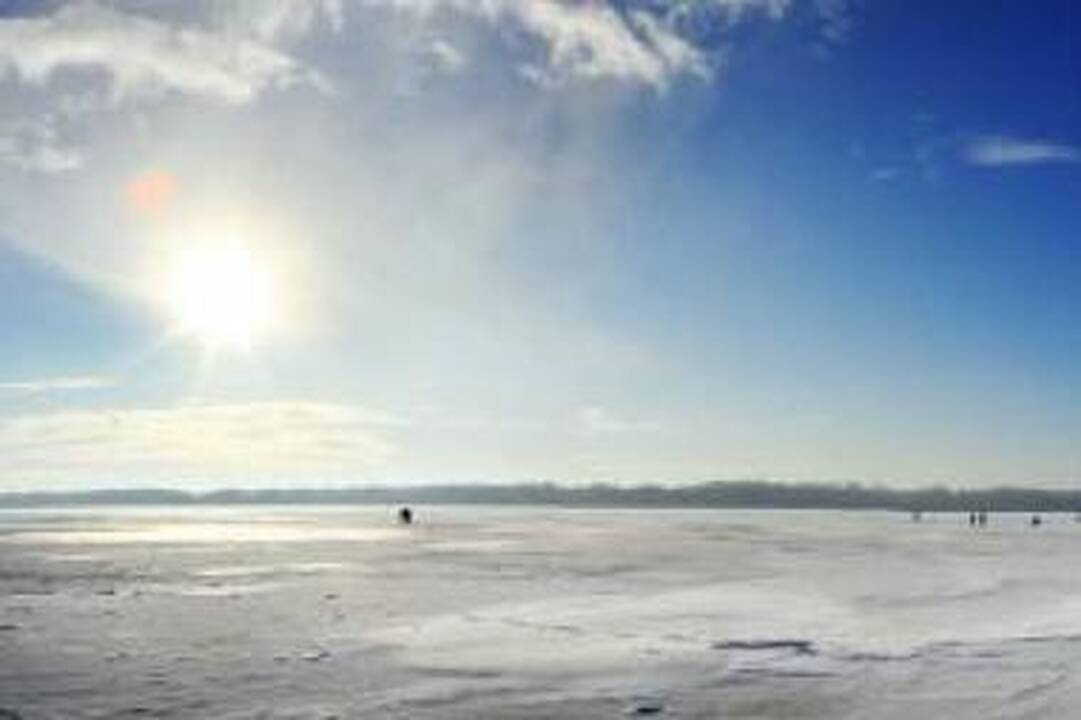 Kauno marių kamikadzės