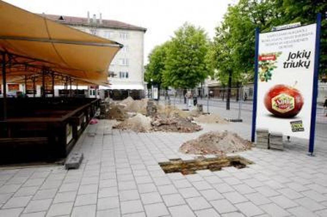 Forma: fachverko stiliaus sandėlis imtas vadinti Dramblio namu, nes jo forma priminė perpus perskeltą dramblį.