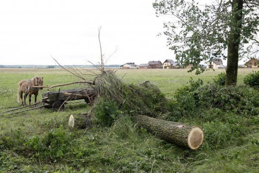 Apsėmė: antradienio pavakarę patvino ir Klaipėdos daugiabučių kiemai.