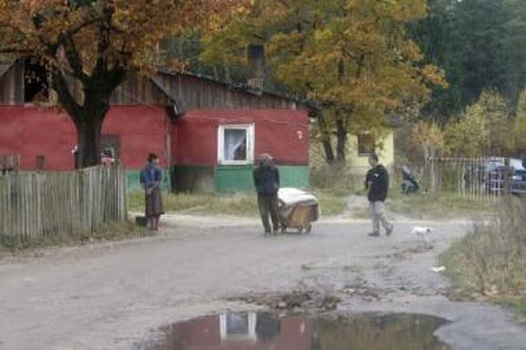 Išrankūs: atšalus orams Vilniaus valdžia siūlosi taboro gyventojams atvežti malkų, tačiau šiems tinka ne bet kokios, o tik sausos ir sukapotos.