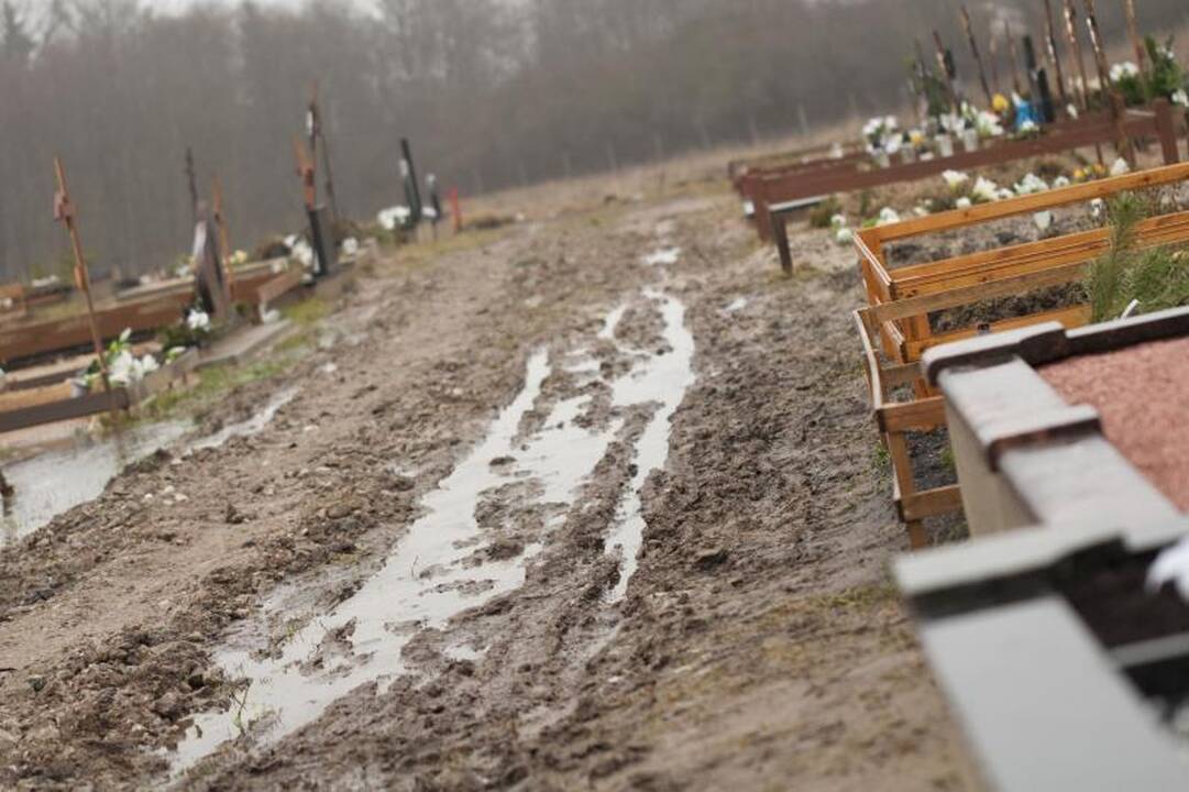 Kapinių projektas subyrėjo į šipulius