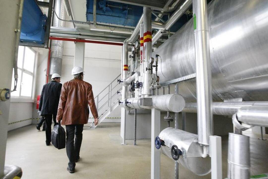 Bute – lyg tualete: į kvapų medžioklę – ir naktimis
