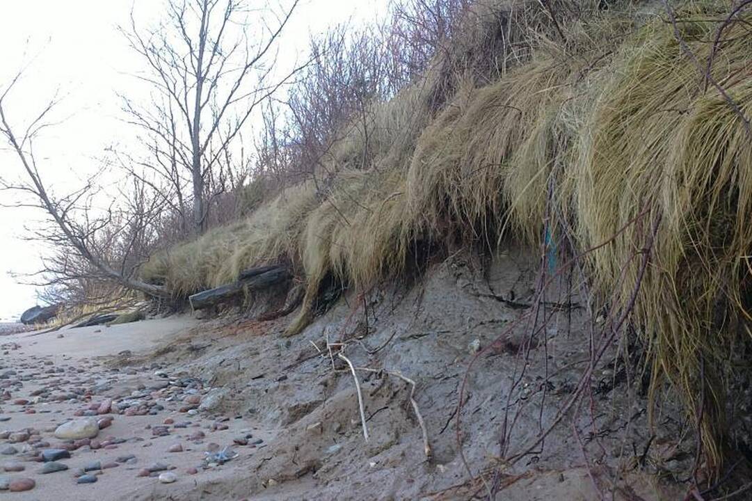 Į Karklės kapinaites    kėsinasi   jūra   