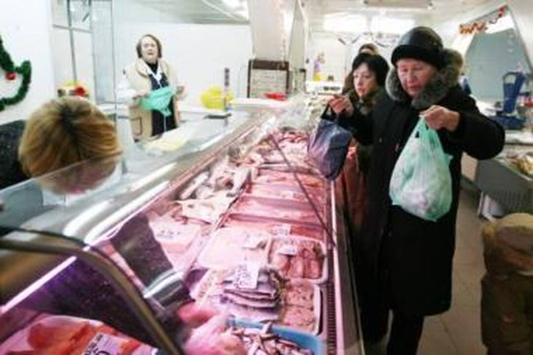 Stinta kainuoja kiek lašiša