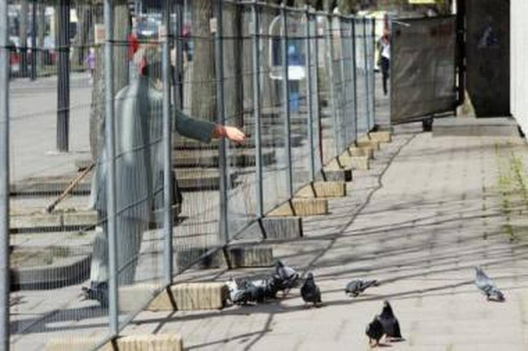 Garsiąją parduotuvę apjuosė statybų tvora, netrukus prasidės griovimo darbai.