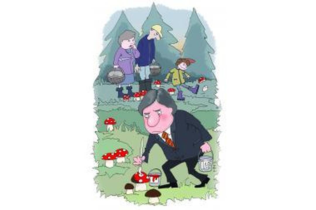Gegužės anonsai