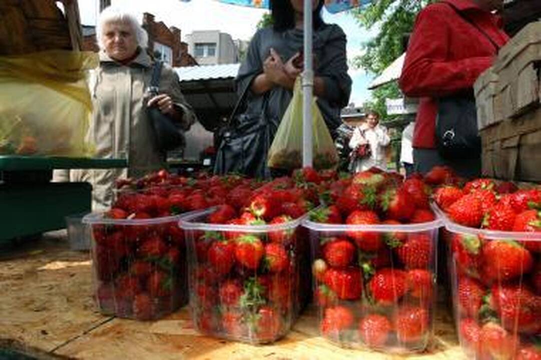 Braškės aplenkė vasarą