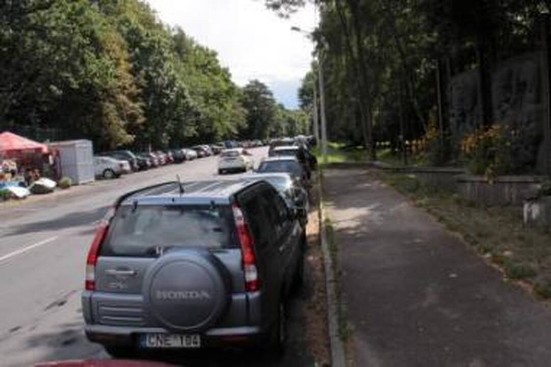 Apgultis: tokį vaizdą vasarą šalia Zoologijos sodo galima pamatyti ne tik savaitgaliais.