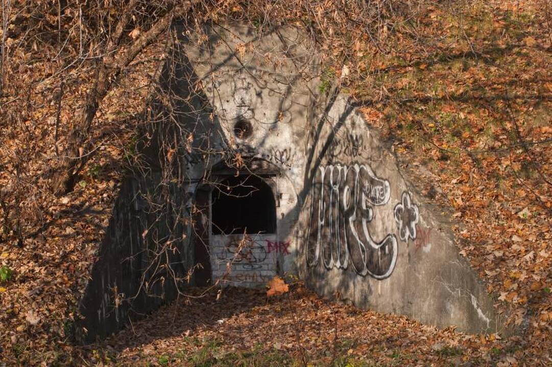 Istoriniai              bunkeriai virs kotedžais?