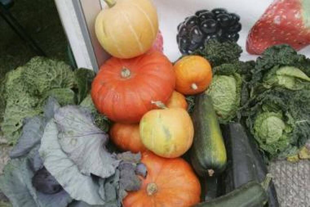 Patarimas: išskirtinis dėmesys daržui pavasarį vėlyvą vasarą ir rudenį gausiu derliumi.