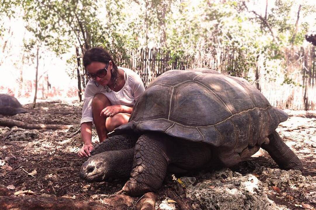 Zanzibaras - nepaprasto grožio ir skurdo šalis 