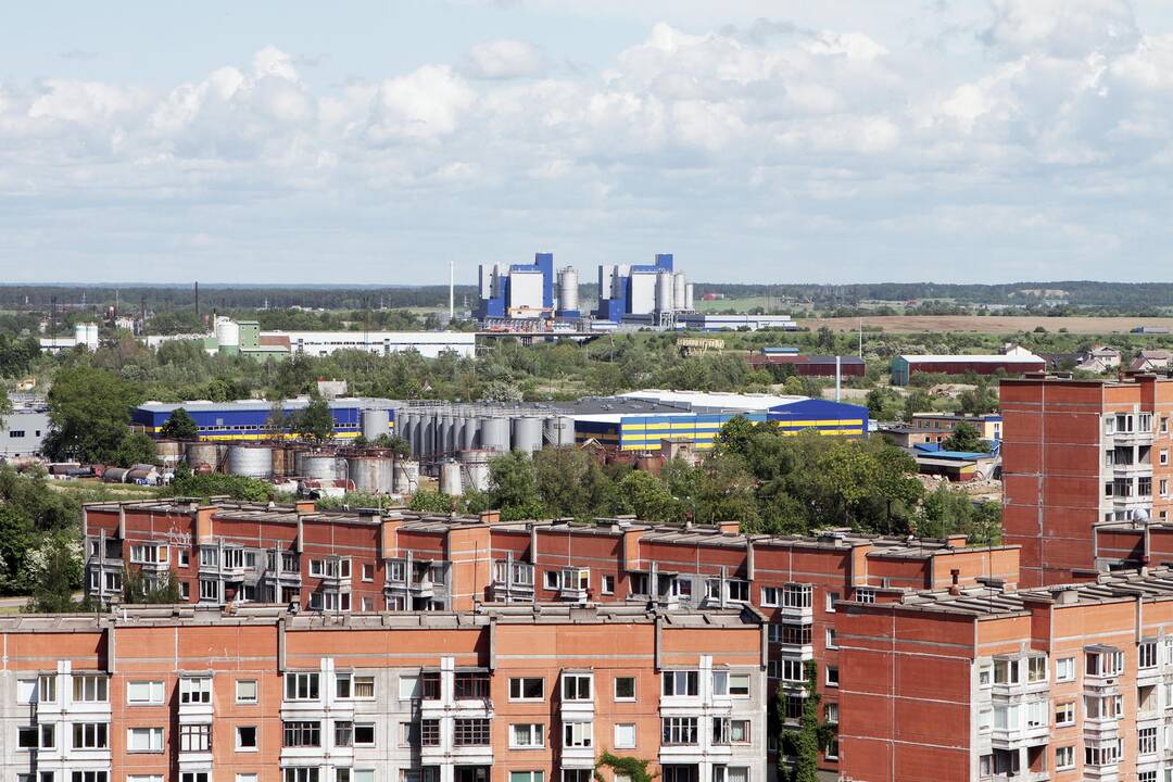 Kovoje su smarve – ir ekstrasensiniai sugebėjimai