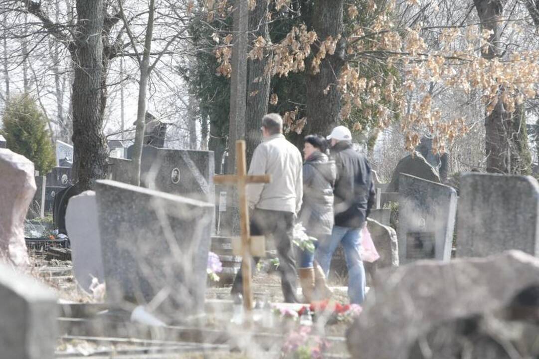Kapinėse – kova dėl erdvės negailestinga
