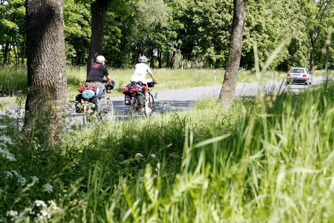 Kelininkams - rūpestis dėl apžėlusių pakelių