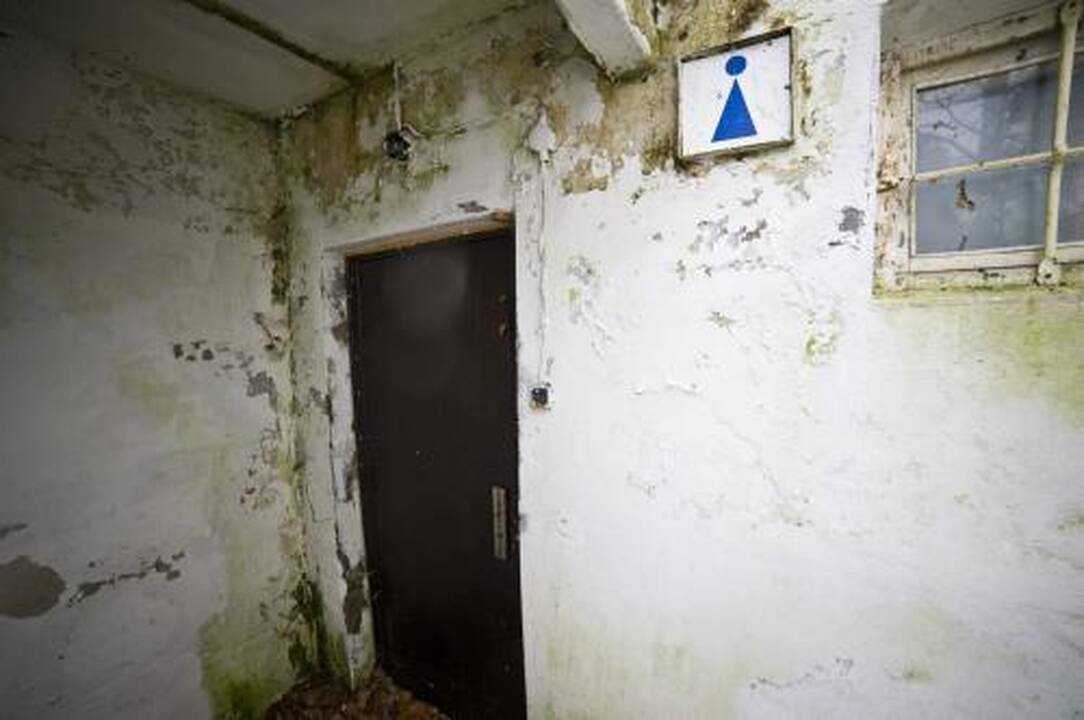 Viešieji tualetai – aukso    kasyklos   