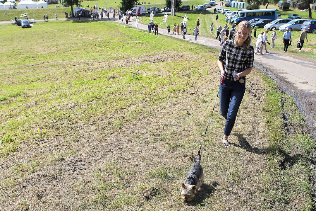 Tremtinių ir politinių kalinių sąskrydis Ariogaloje