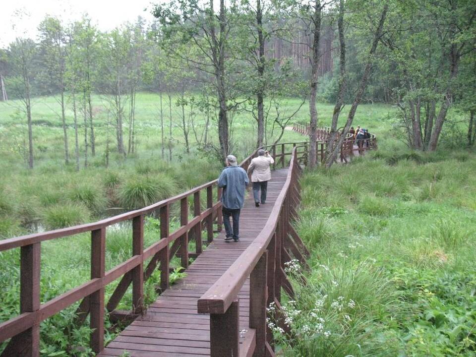 Naglio rezervato pažintinis takas