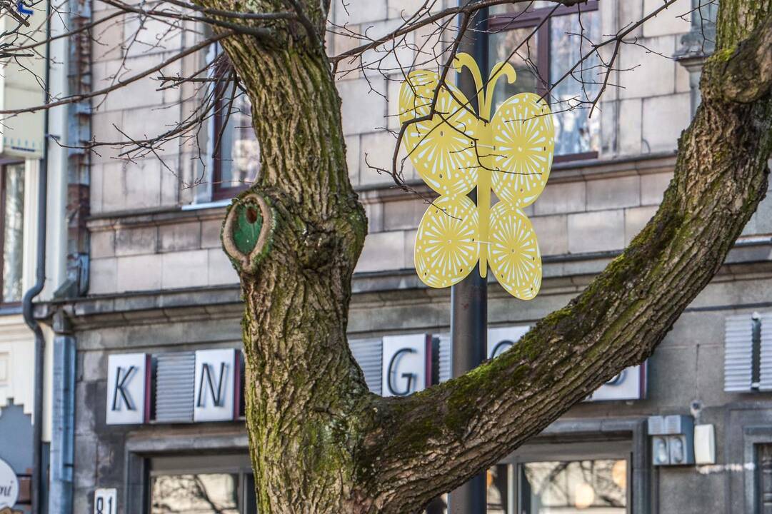 Velykoms pasipuošusi Laisvės alėja