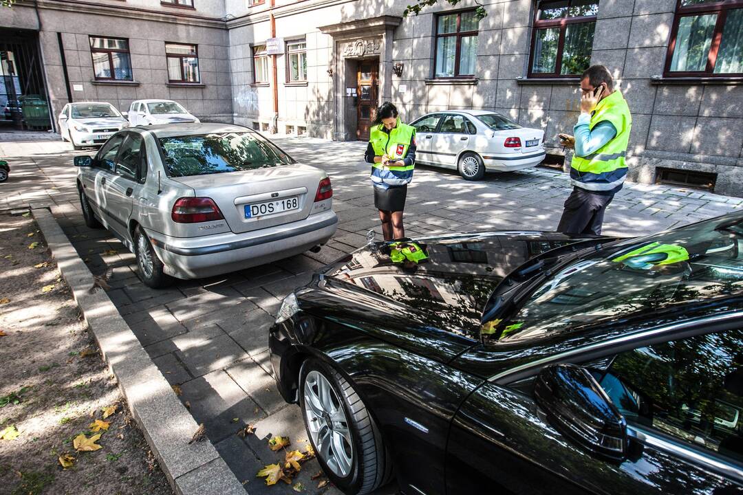 Reidas Laisvės alėjoje