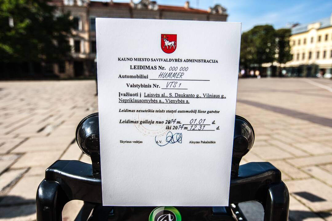 Reidas Laisvės alėjoje