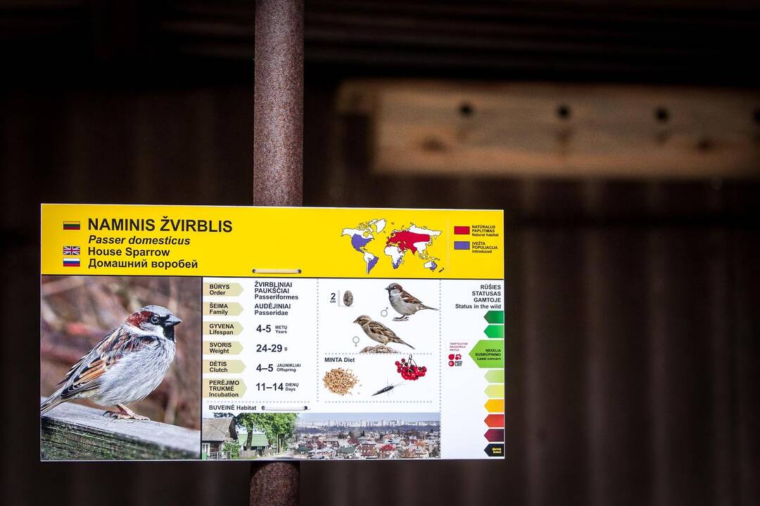 Zoologijos sode paminėta Pasaulinė žvirblių diena