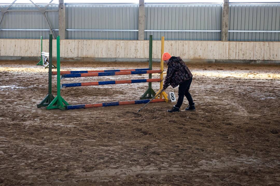 Žirgų konkuras Veiveriuose