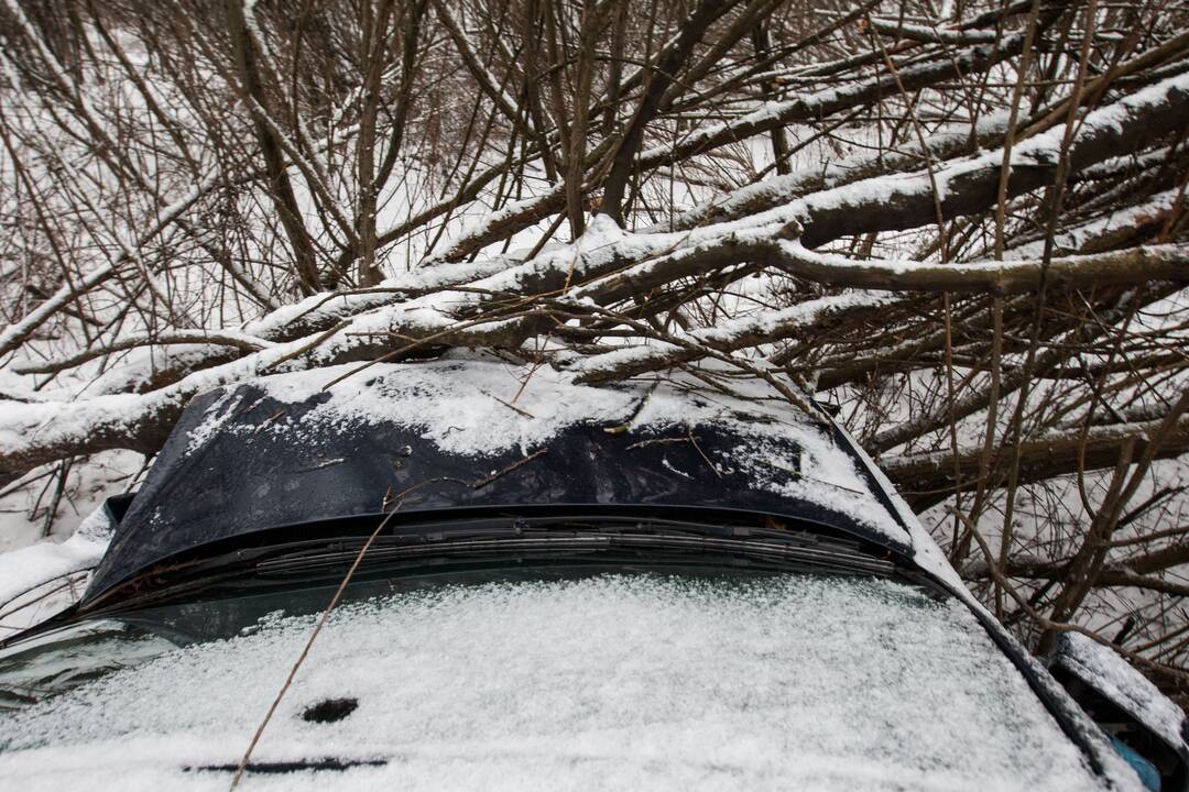 Vytėnuose BMW įlėkė į griovį