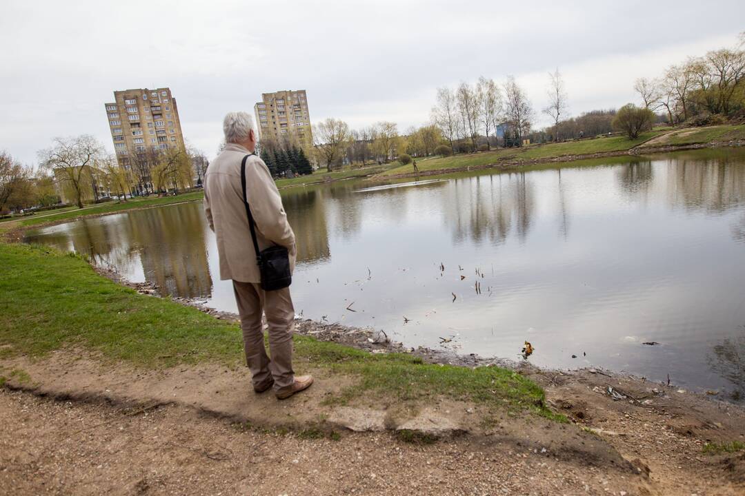 Kalniečių parko renovacija