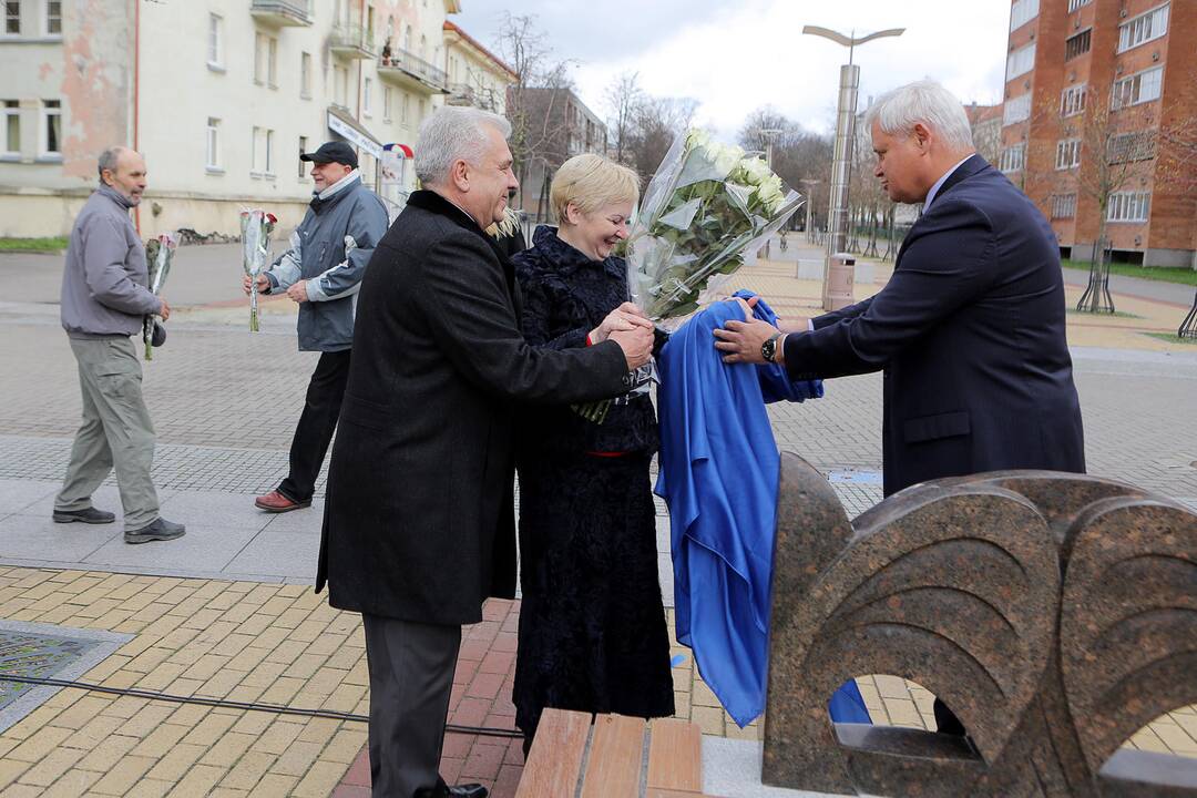 M. Mažvydo alėjoje šypsosis katinas