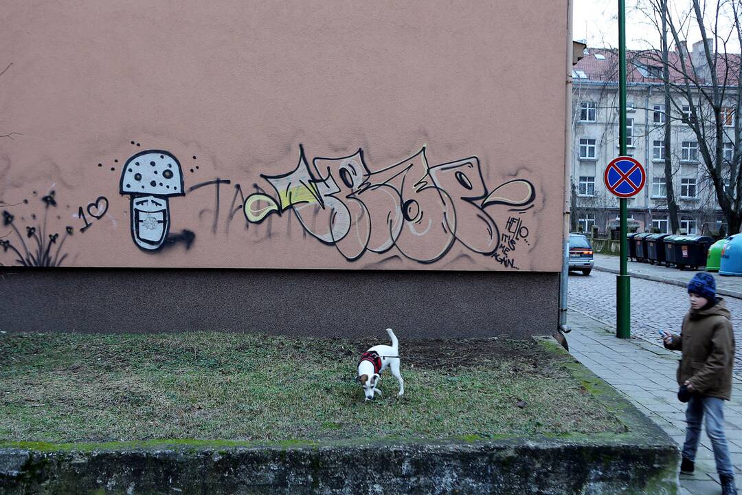 Grafitininkai apipaišė namų sienas