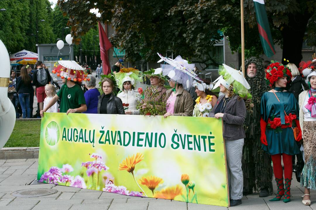 Augalų žavadienis