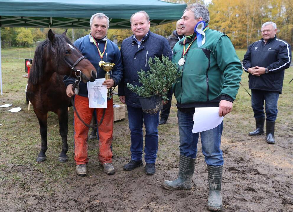 Legendinių žemaitukų lenktynės